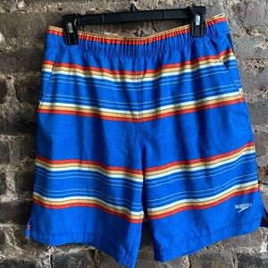 Speedo Men's Vibrant Striped Swim Trunks